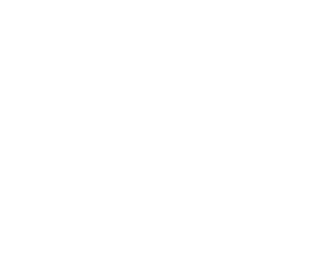 Dunluce logo1 white